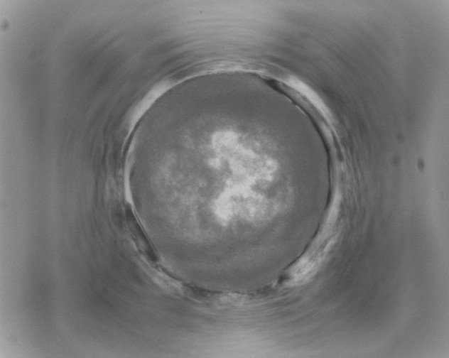 X0000070351097200607072032