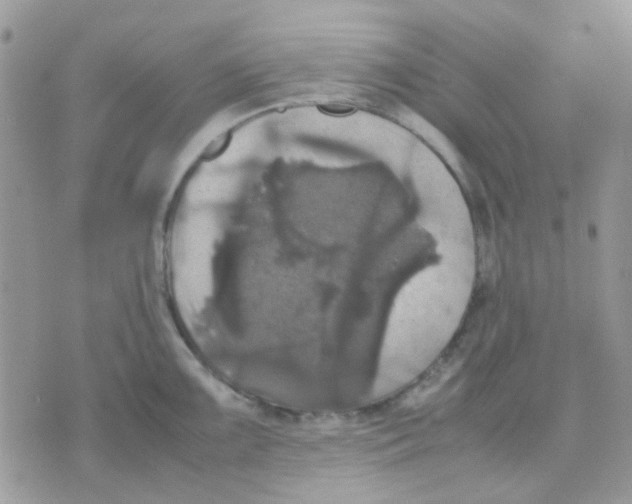 X0000070351099200607072032