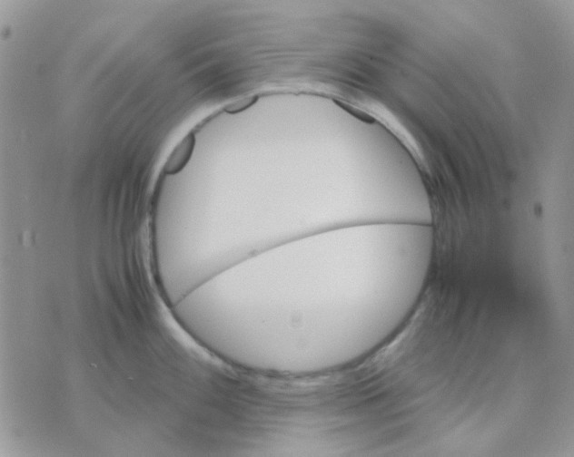 X0000070351100200607072032