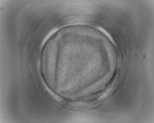 X0000070351101200607072032