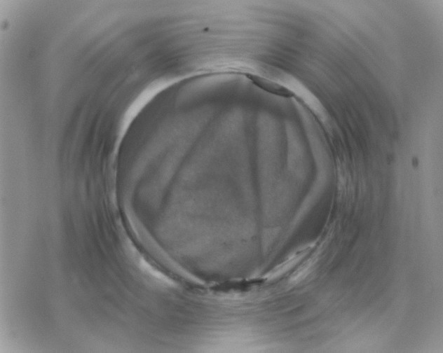 X0000070351102200607072032