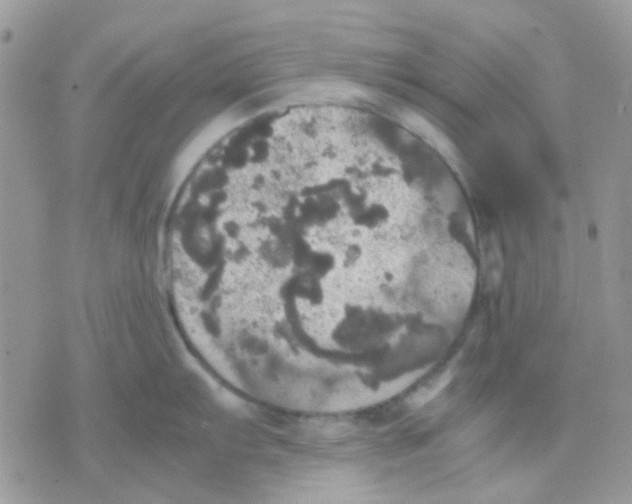 X0000070351103200607072032