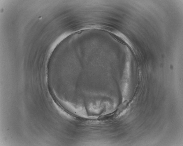 X0000070351143200607072032