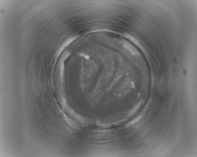 X0000070351145200607072032