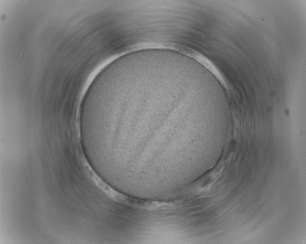 X0000070351148200607072032