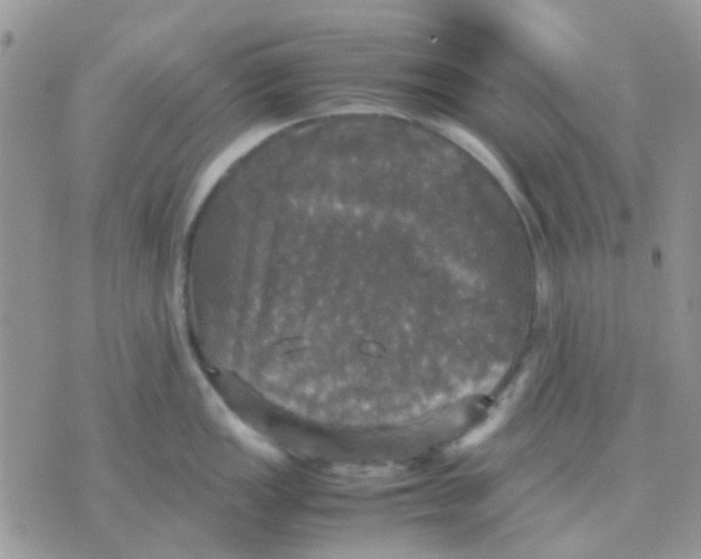 X0000070351149200607072032