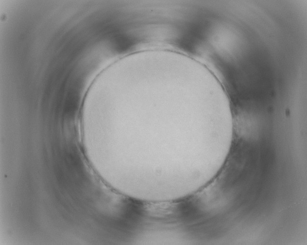 X0000070351150200607072032