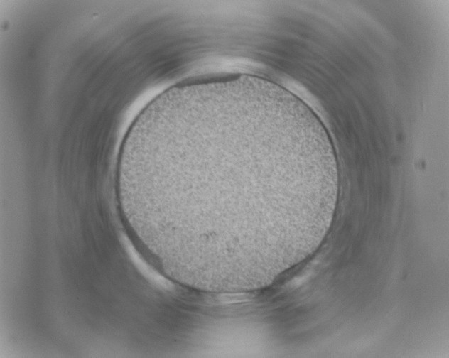 X0000070351152200607072032