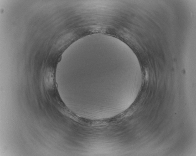 X0000070351154200607072031