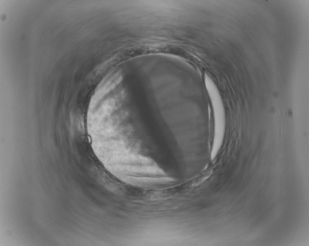 X0000070351155200607072031