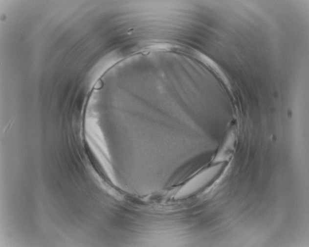 X0000070351194200607072030