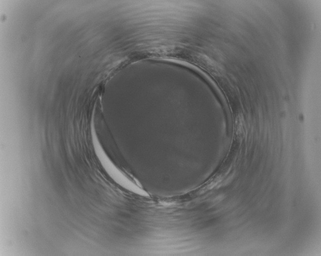 X0000070351202200607072029