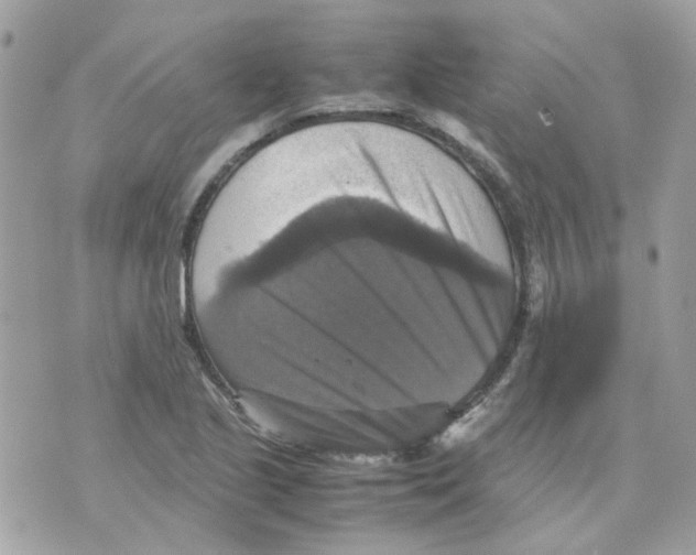 X0000070351221200607072030