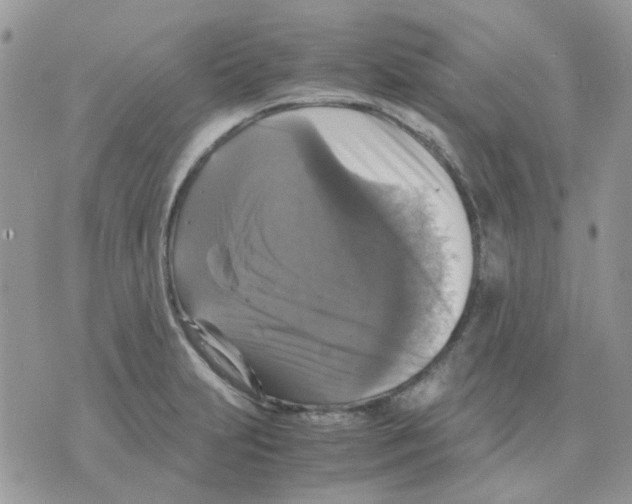 X0000070351231200607072030
