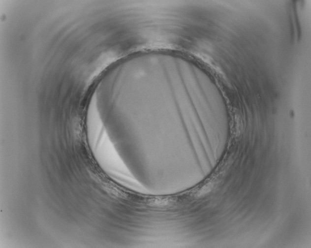 X0000070351266200607072029