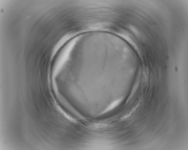 X0000070351294200607072029