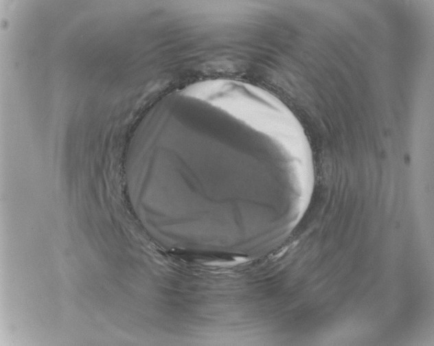 X0000070351297200607072028