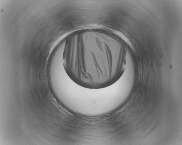 X0000070351364200607072027