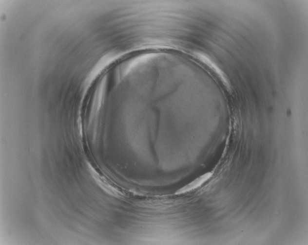 X0000070351372200607072027
