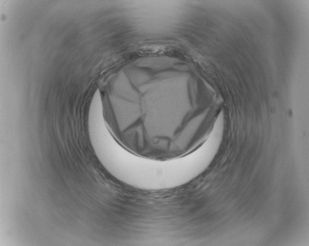 X0000070351394200607072026