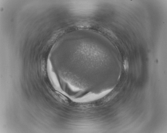 X0000070351396200607072026