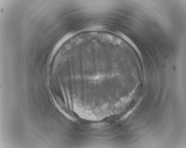X0000070351437200607072027