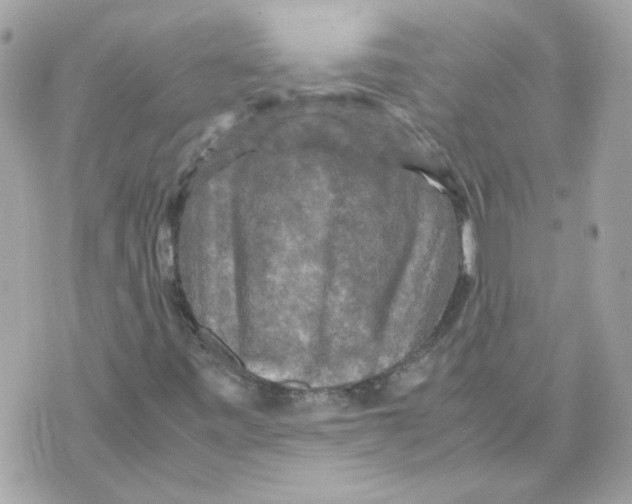 X0000070351443200607072026