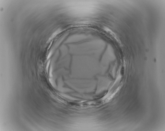 X0000070351449200607072026