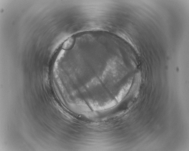 X0000070351452200607072026