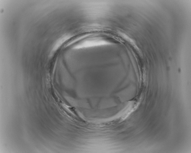 X0000070351453200607072026