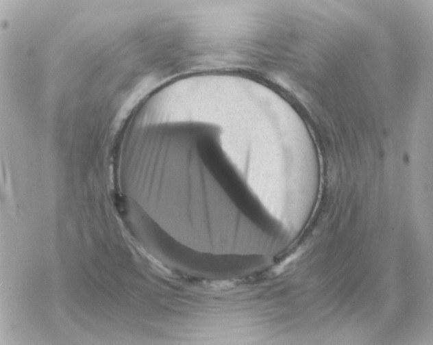 X0000070351459200607072026
