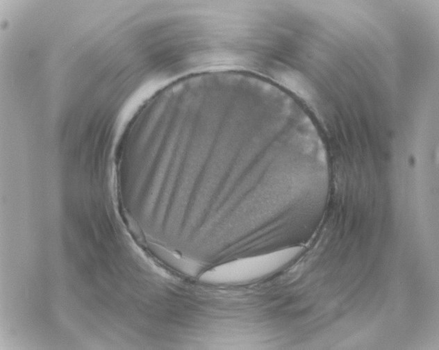 X0000070351472200607072026