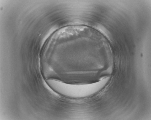 X0000070351476200607072026