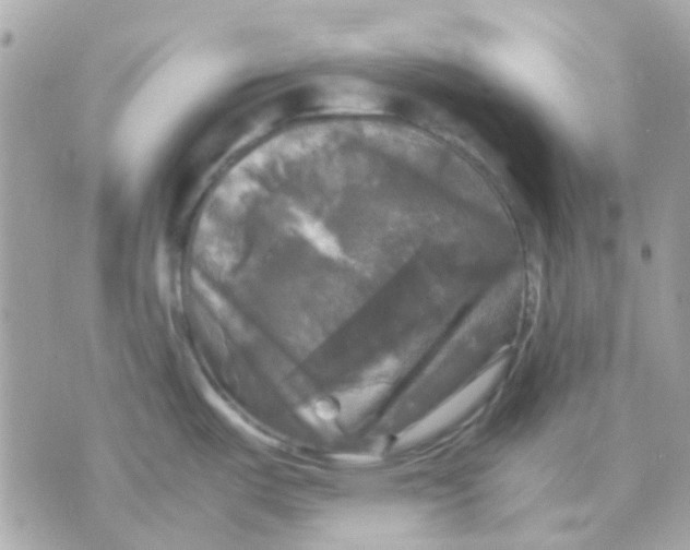 X0000070351487200607072025