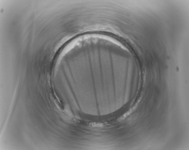 X0000070351505200607072025
