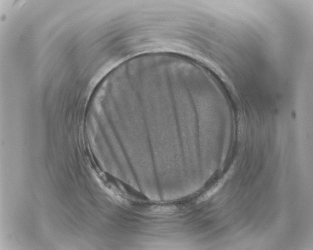X0000070351513200607072025