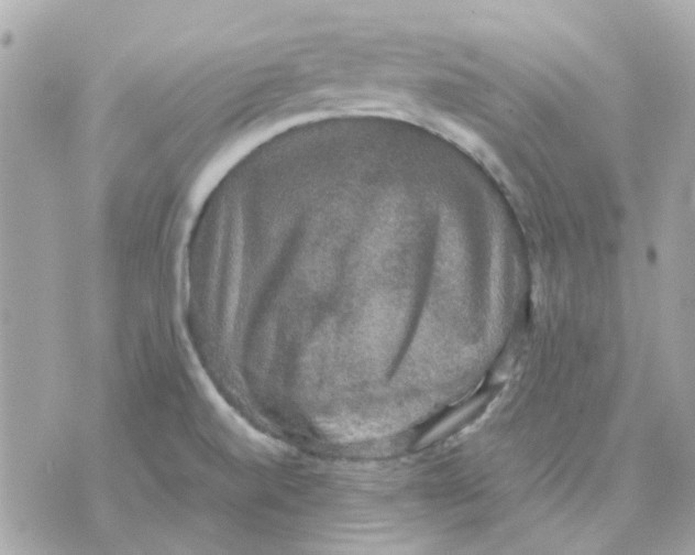 X0000070351520200607072025