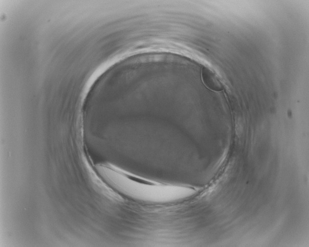 X0000070351522200607072025