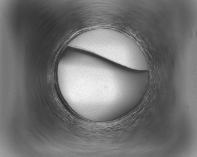 X0000070360002200606090812