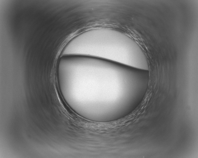 X0000070360003200606090812