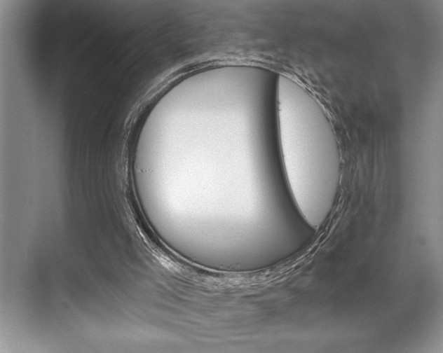 X0000070360005200606090812