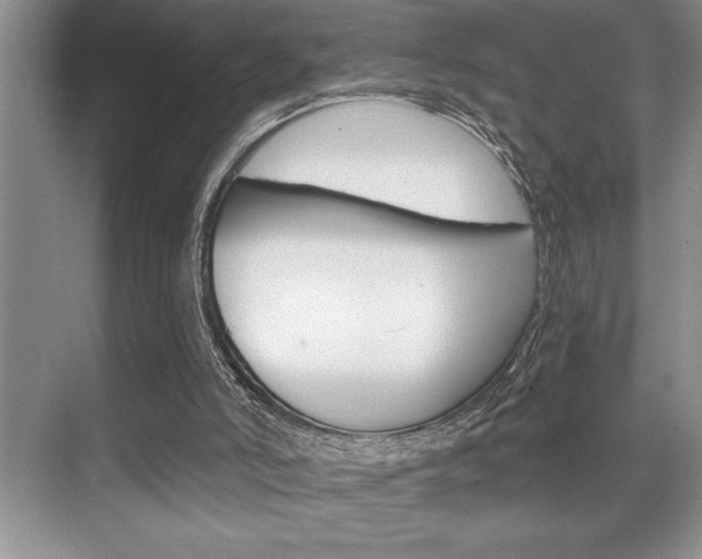 X0000070360006200606090812