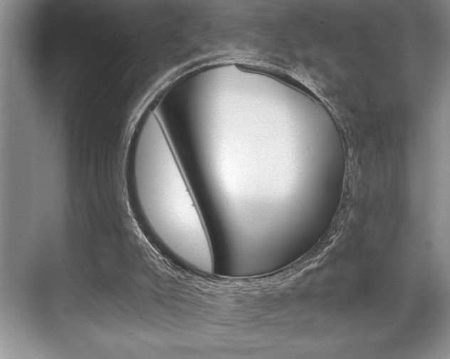 X0000070360007200606090812