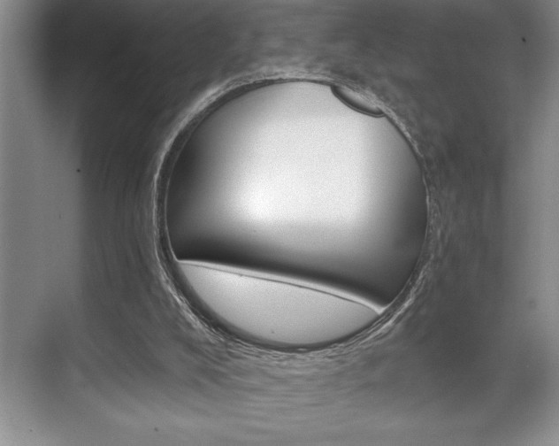 X0000070360008200606090812