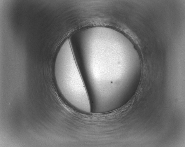 X0000070360009200606090812