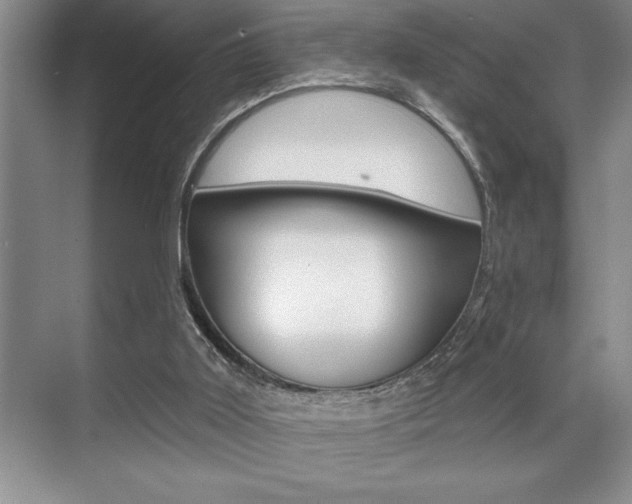 X0000070360011200606090812