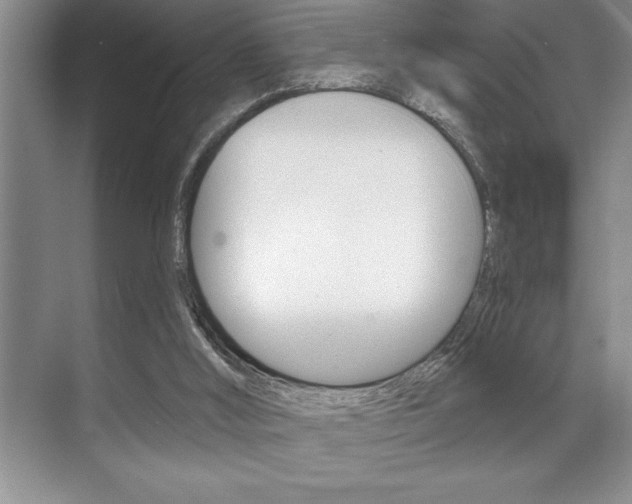 X0000070360012200606090812