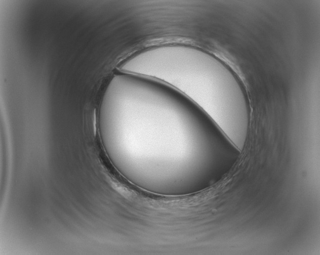 X0000070360013200606090811