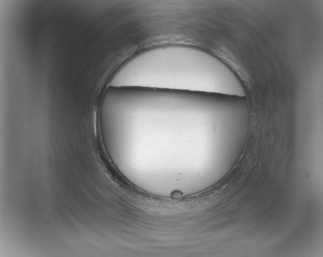 X0000070360014200606090811