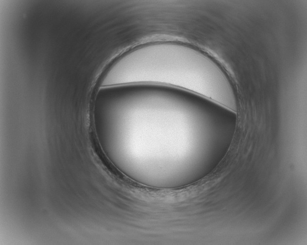 X0000070360015200606090811